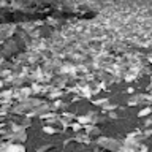 Meet your Posher, Christopher - Picture 1 of 1